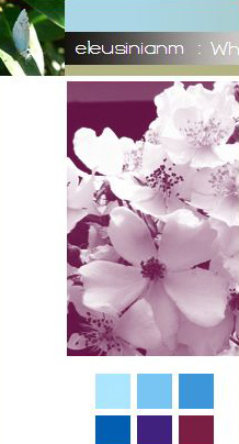screenshot of titlebar of old website, blue butterfly and wild roses