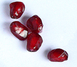 pomegranate seeds